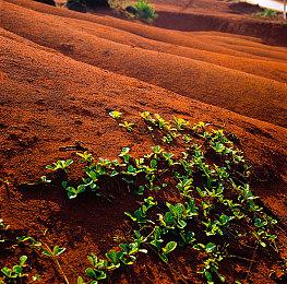 《怪物猎人：世界》全球销量突破2500万 创造卡普空新纪录